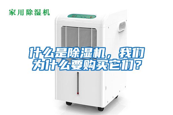 什么是除濕機，我們?yōu)槭裁匆徺I(mǎi)它們？