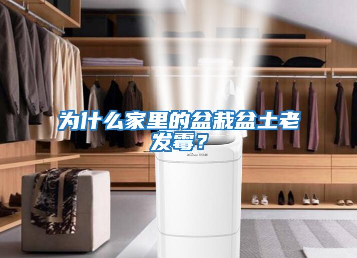為什么家里的盆栽盆土老發(fā)霉？