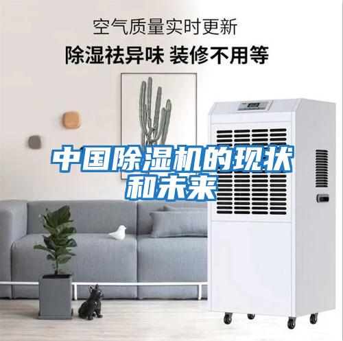 中國除濕機的現狀和未來(lái)