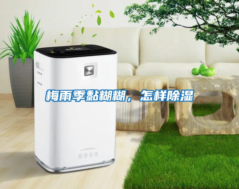 梅雨季黏糊糊，怎樣除濕