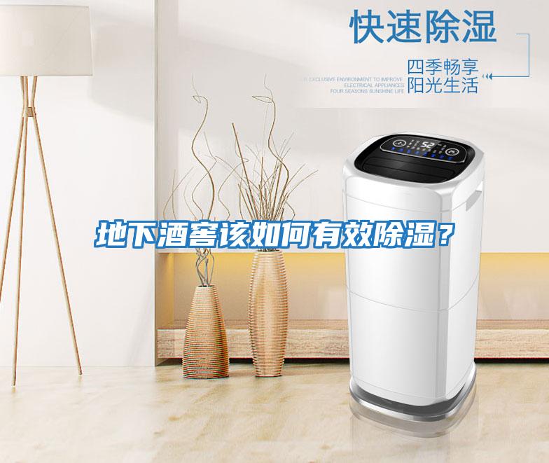 地下酒窖該如何有效除濕？