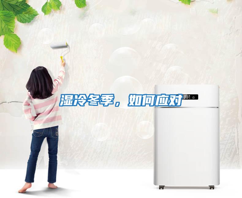 濕冷冬季，如何應對