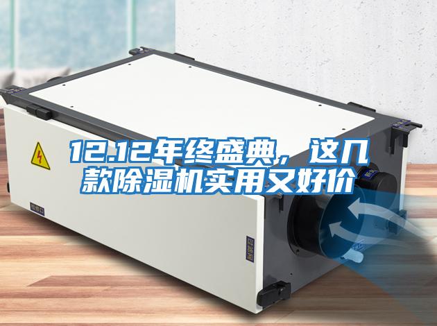 12.12年終盛典，這幾款除濕機實(shí)用又好價(jià)