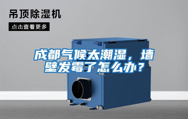 成都氣候太潮濕，墻壁發(fā)霉了怎么辦？
