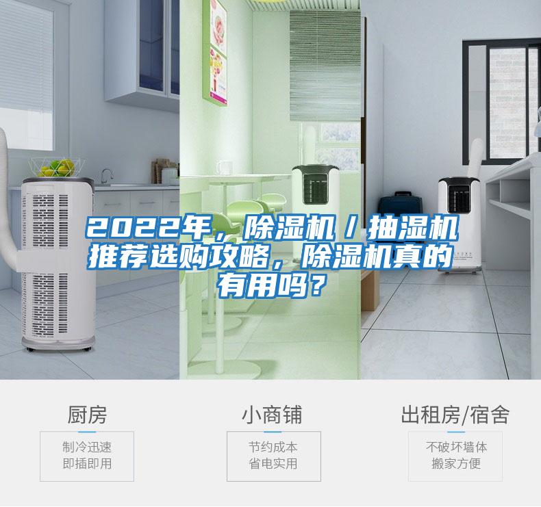 2022年，除濕機／抽濕機推薦選購攻略，除濕機真的有用嗎？