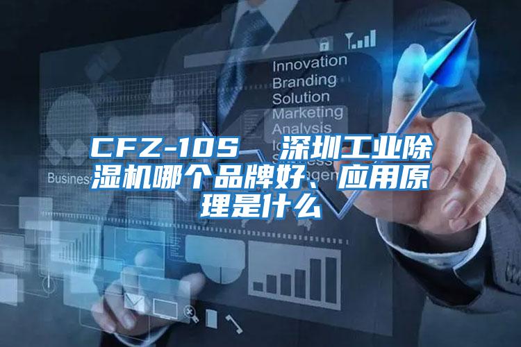 CFZ-10S  深圳工業(yè)除濕機哪個(gè)品牌好、應用原理是什么