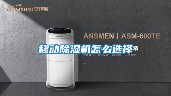 移動(dòng)除濕機怎么選擇