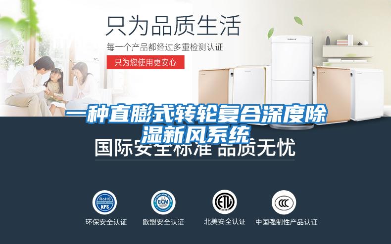 一種直膨式轉輪復合深度除濕新風(fēng)系統