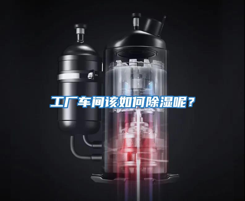 工廠(chǎng)車(chē)間該如何除濕呢？
