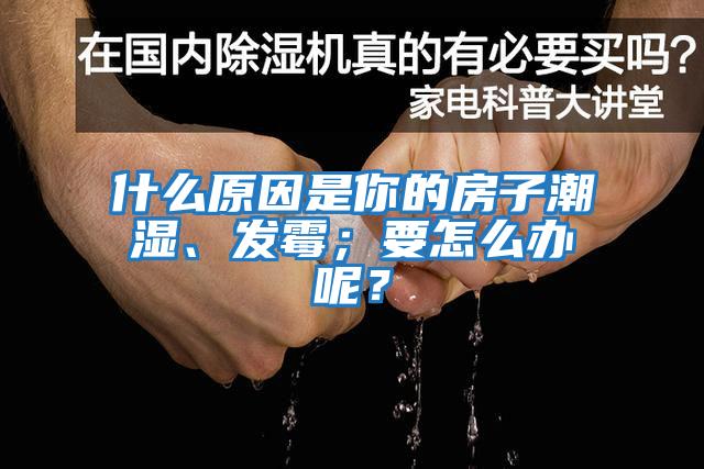 什么原因是你的房子潮濕、發(fā)霉；要怎么辦呢？