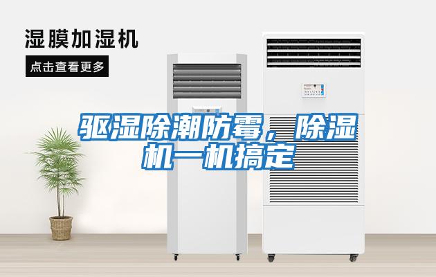 驅濕除潮防霉，除濕機一機搞定