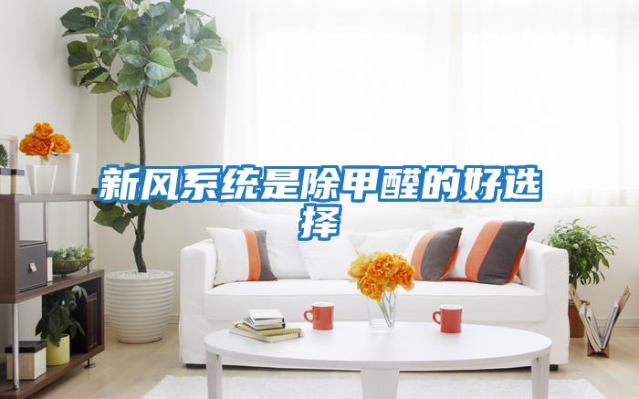 新風(fēng)系統是除甲醛的好選擇