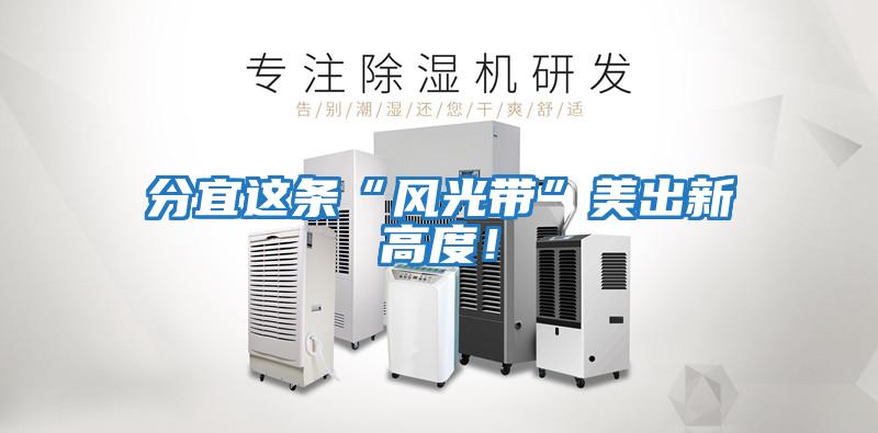 分宜這條“風(fēng)光帶”美出新高度！
