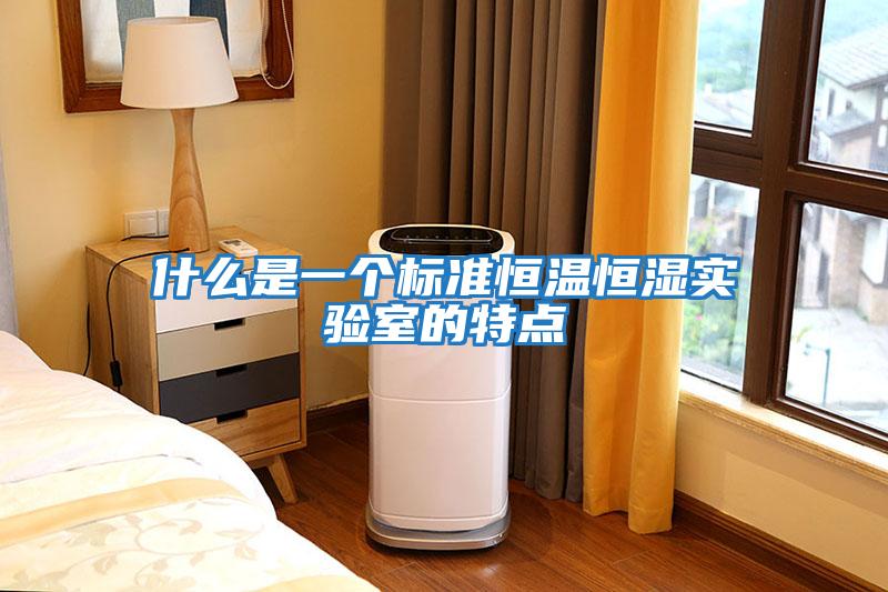 什么是一個(gè)標準恒溫恒濕實(shí)驗室的特點(diǎn)