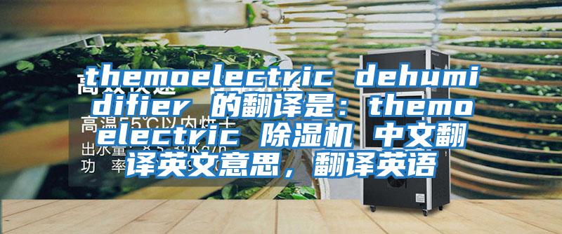 themoelectric dehumidifier 的翻譯是：themoelectric 除濕機 中文翻譯英文意思，翻譯英語(yǔ)