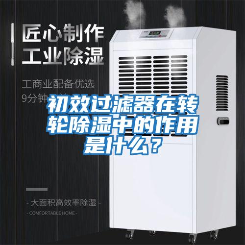 初效過(guò)濾器在轉輪除濕中的作用是什么？