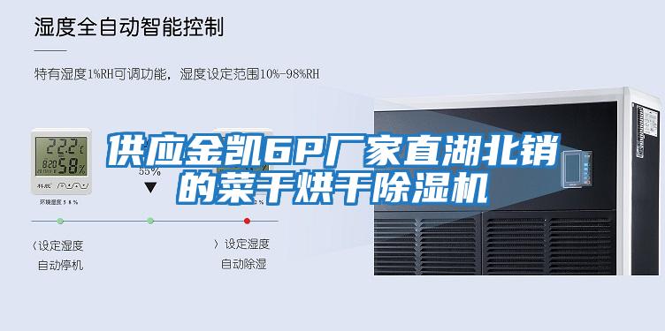 供應金凱6P廠(chǎng)家直湖北銷(xiāo)的菜干烘干除濕機