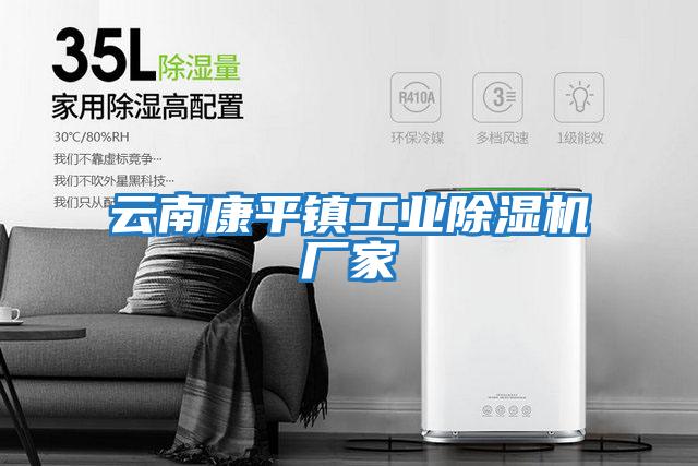 云南康平鎮工業(yè)除濕機廠(chǎng)家
