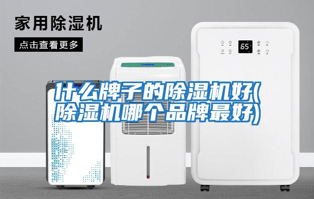 什么牌子的除濕機好(除濕機哪個(gè)品牌最好)