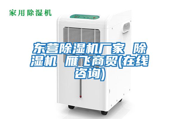 東營(yíng)除濕機廠(chǎng)家 除濕機 雁飛商貿(在線(xiàn)咨詢(xún))
