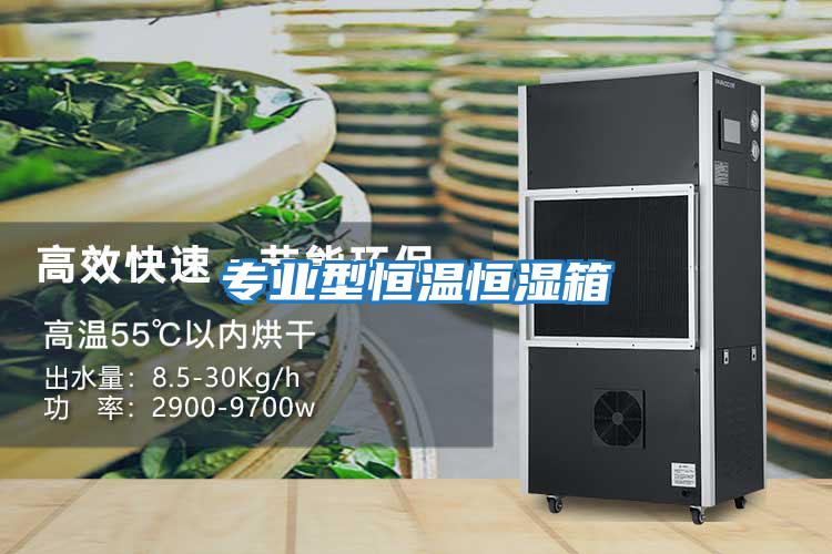 專(zhuān)業(yè)型恒溫恒濕箱