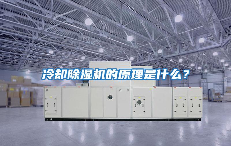 冷卻除濕機的原理是什么？