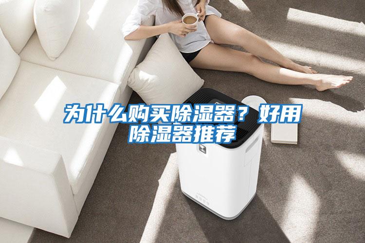 為什么購買(mǎi)除濕器？好用除濕器推薦