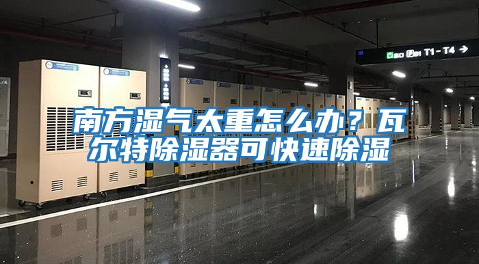 南方濕氣太重怎么辦？瓦爾特除濕器可快速除濕