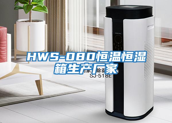 HWS-080恒溫恒濕箱生產(chǎn)廠(chǎng)家