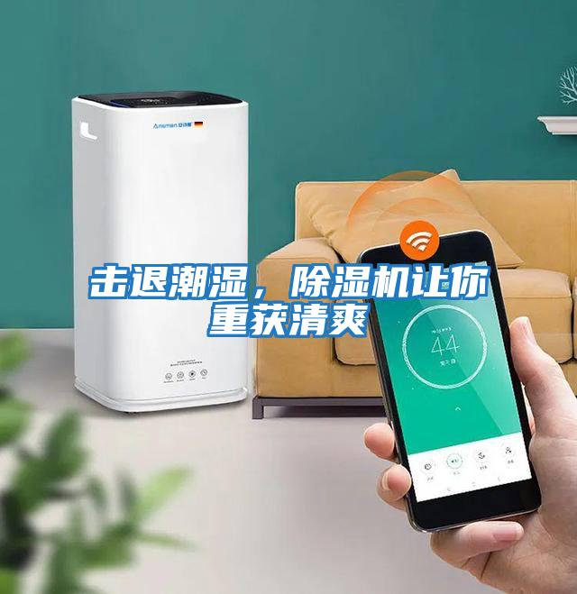 擊退潮濕，除濕機讓你重獲清爽
