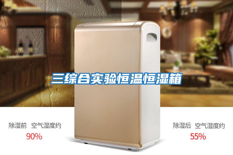 三綜合實(shí)驗恒溫恒濕箱