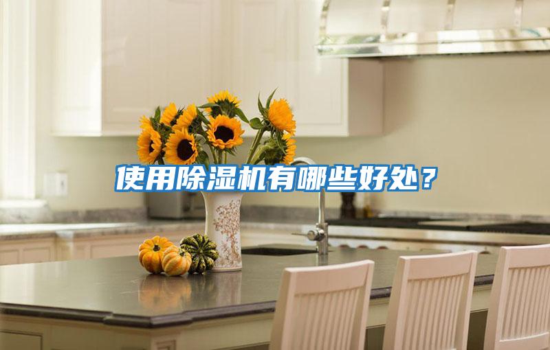 使用除濕機有哪些好處？