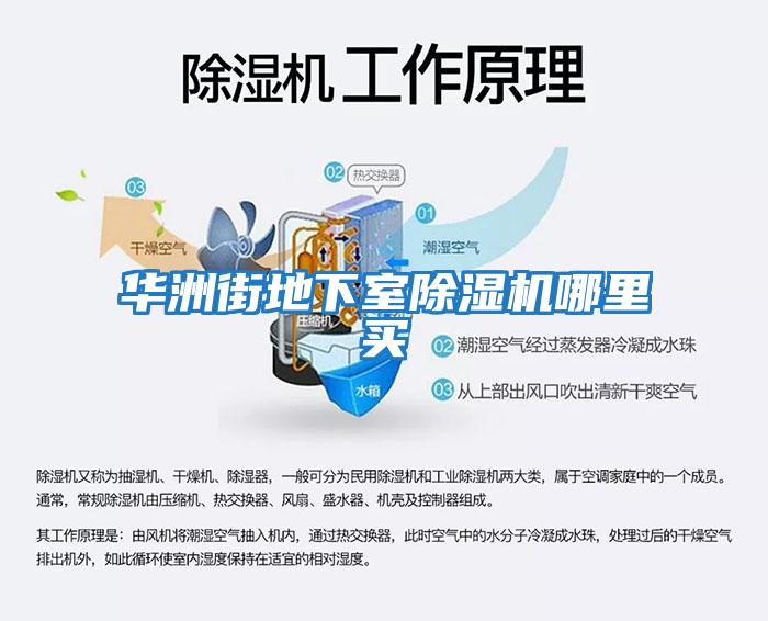 華洲街地下室除濕機哪里買(mǎi)