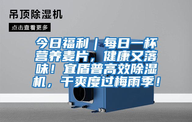 今日福利｜每日一杯營(yíng)養麥片，健康又落味！宜盾普高效除濕機，干爽度過(guò)梅雨季！