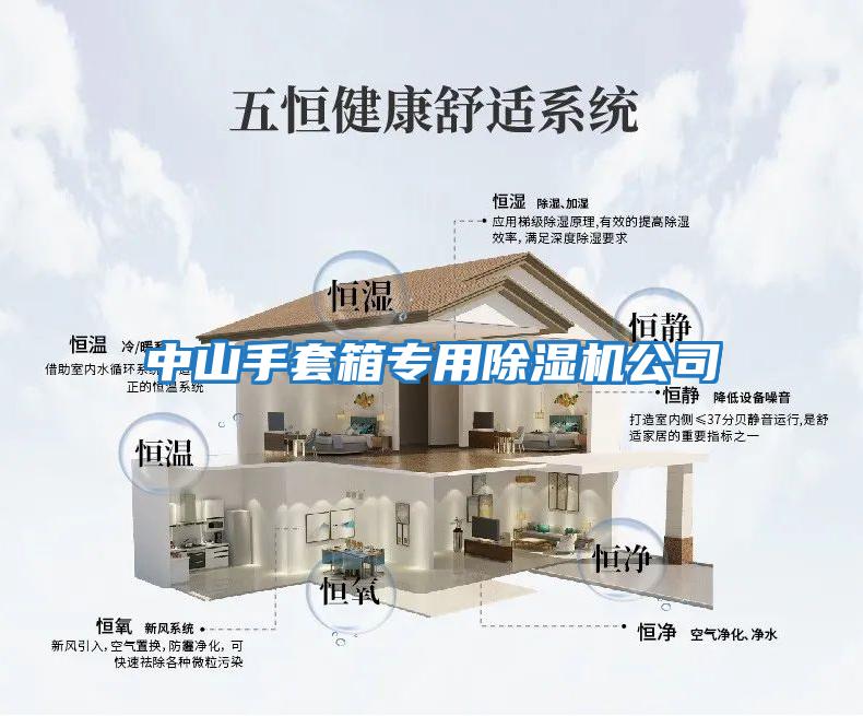 中山手套箱專(zhuān)用除濕機公司