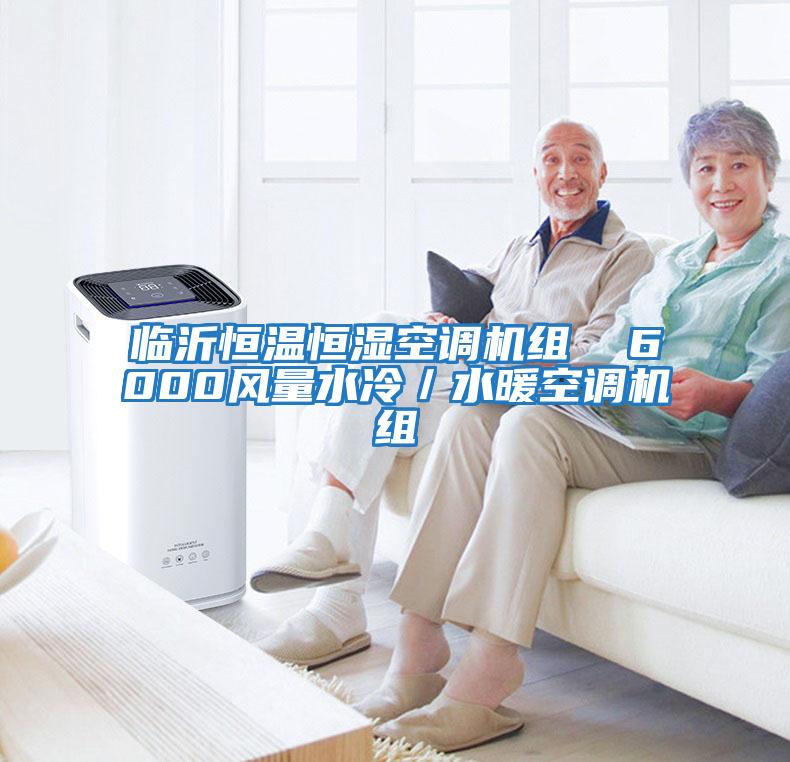 臨沂恒溫恒濕空調機組  6000風(fēng)量水冷／水暖空調機組