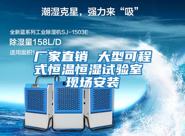 廠(chǎng)家直銷(xiāo) 大型可程式恒溫恒濕試驗室 現場(chǎng)安裝