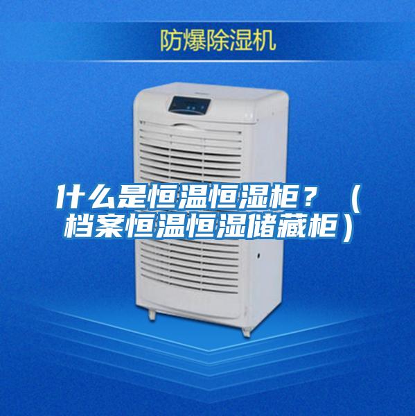 什么是恒溫恒濕柜？（檔案恒溫恒濕儲藏柜）