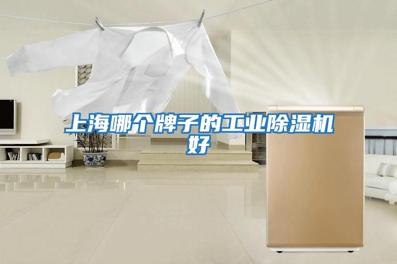 上海哪個(gè)牌子的工業(yè)除濕機好