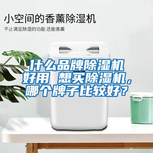 什么品牌除濕機好用 想買(mǎi)除濕機，哪個(gè)牌子比較好？