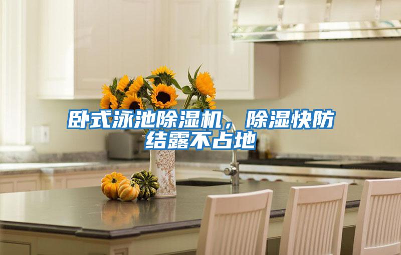 臥式泳池除濕機，除濕快防結露不占地