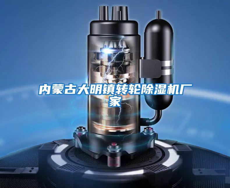 內蒙古大明鎮轉輪除濕機廠(chǎng)家