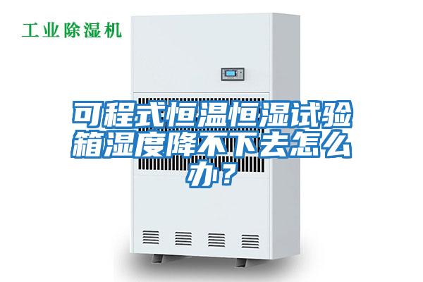 可程式恒溫恒濕試驗箱濕度降不下去怎么辦？