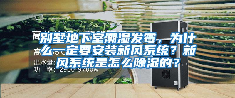 別墅地下室潮濕發(fā)霉，為什么一定要安裝新風(fēng)系統？新風(fēng)系統是怎么除濕的？