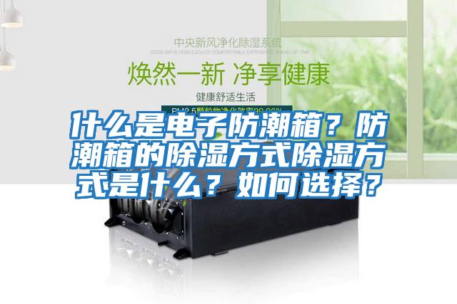 什么是電子防潮箱？防潮箱的除濕方式除濕方式是什么？如何選擇？