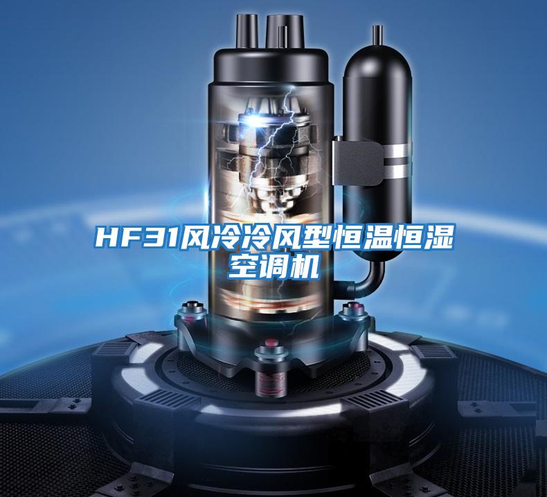 HF31風(fēng)冷冷風(fēng)型恒溫恒濕空調機
