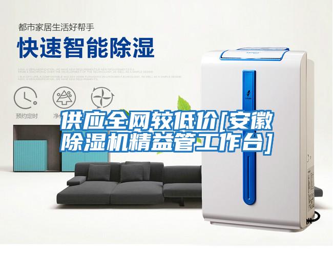 供應全網(wǎng)較低價(jià)[安徽除濕機精益管工作臺]