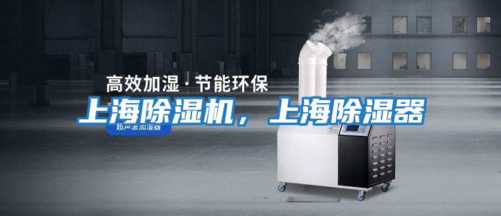 上海除濕機，上海除濕器
