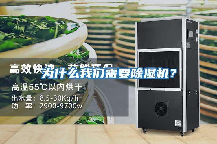 為什么我們需要除濕機？