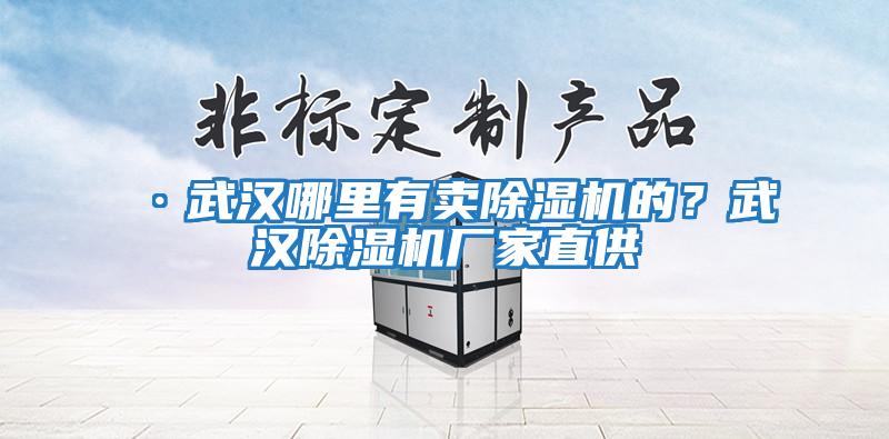 ·武漢哪里有賣(mài)除濕機的？武漢除濕機廠(chǎng)家直供